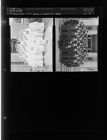 Ayden and Winterville Graduates (2 Negatives) (May 16, 1957) [Sleeve 39, Folder a, Box 12]